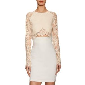 The Jetset Diaries Piazza Crop Top || Blush